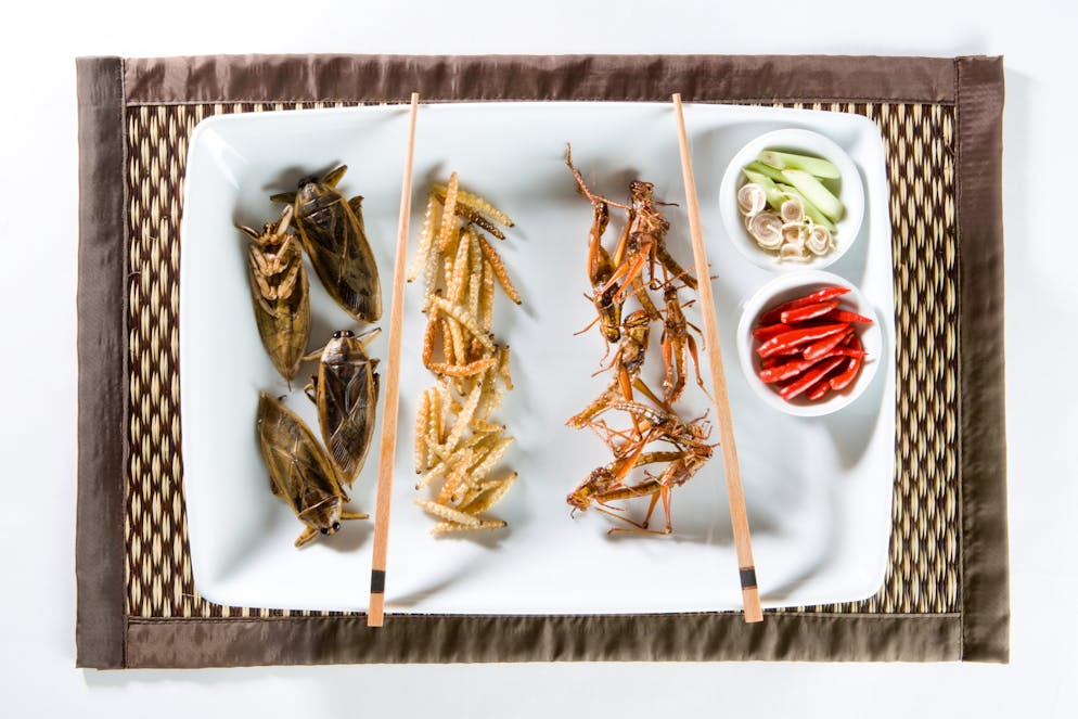 Auch immer mehr Restaurants in der Schweiz bieten Insektenfood an.