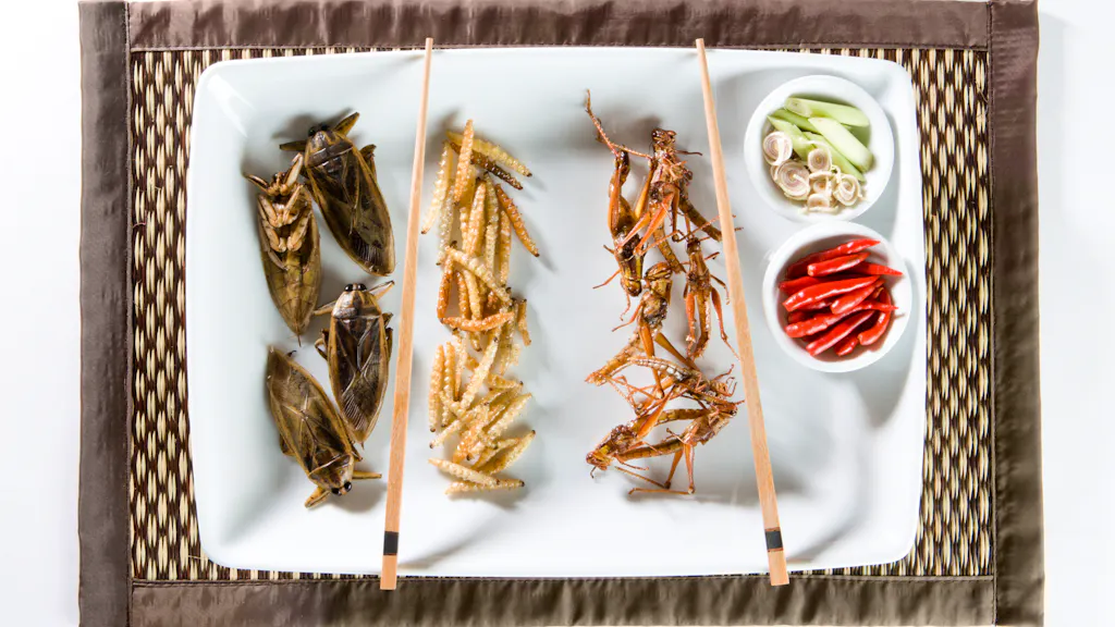 Klein, aber oho. Weshalb wir alle mehr Insekten essen sollten
