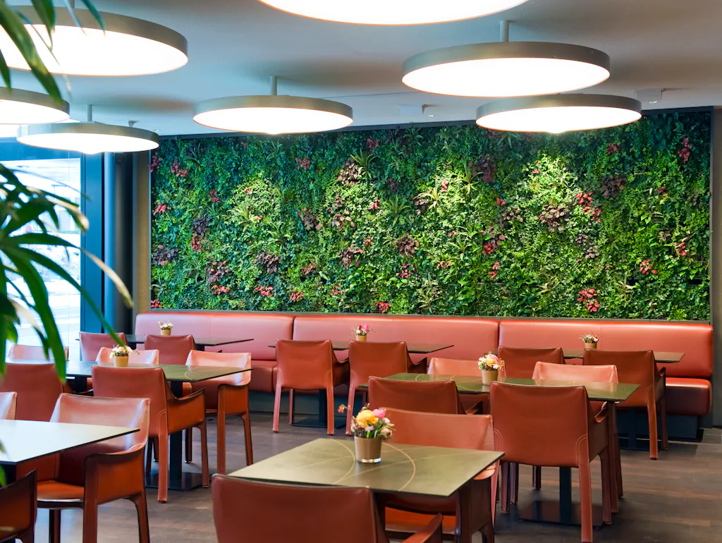 Das sind die 10 besten Pflanzen für ein gutes Raumklima