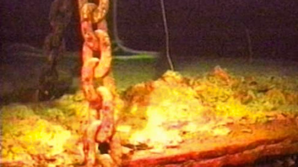 Das Weltkulturerbe «Titanic» droht sich aufzulösen. Der Abfall nähre Mikroben, die sonst unter extrem kargen Bedingungen leben müssten und fördere ihre Vermehrung. Zu ihnen gehören die seltenen eisenfressende Bakterien «Halomonas titanicae», die den Verfall des Wracks noch erheblich beschleunigen könnten, warnte Delgado.