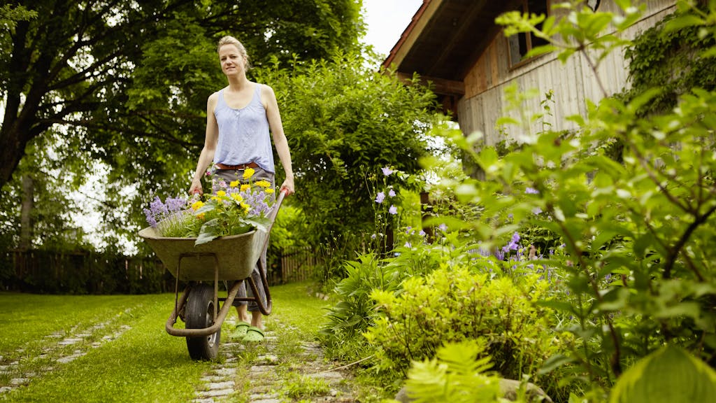 Grüner Daumen. Die besten Tipps: So wird Ihr Rasen zur Augenweide