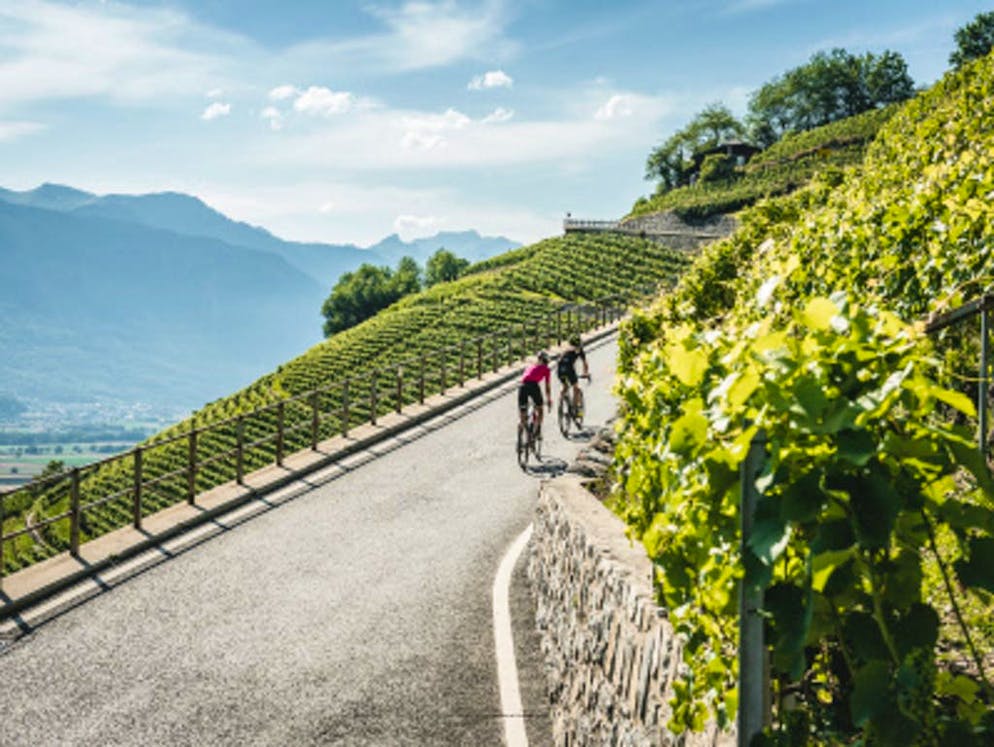 La Suisse, pays du vélo: les plus belles routes au fil de l'eau. Si vous êtes intéressé, vous pouvez vous rendre à la commune de Bex pour découvrir les mines de sel.