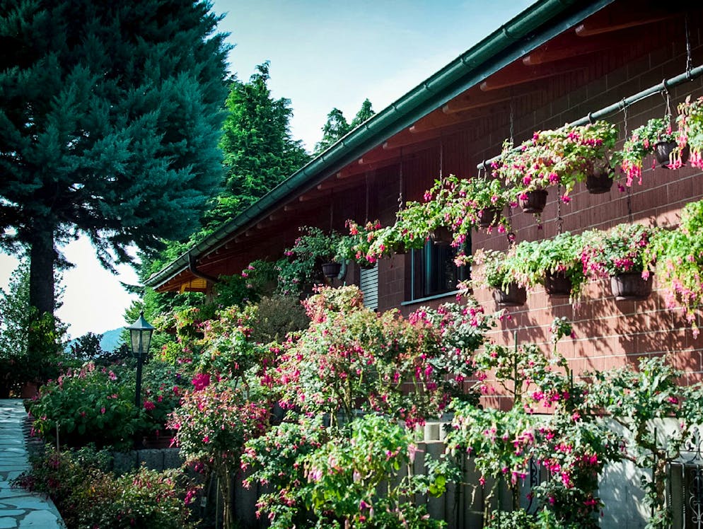 Im Garten von Heinz Sommerhalder steckt viel Arbeit. Sein Tipp an die «Bluewin»-Leser: «Gartenarbeit sollte Spass machen und kein Muss sein!»