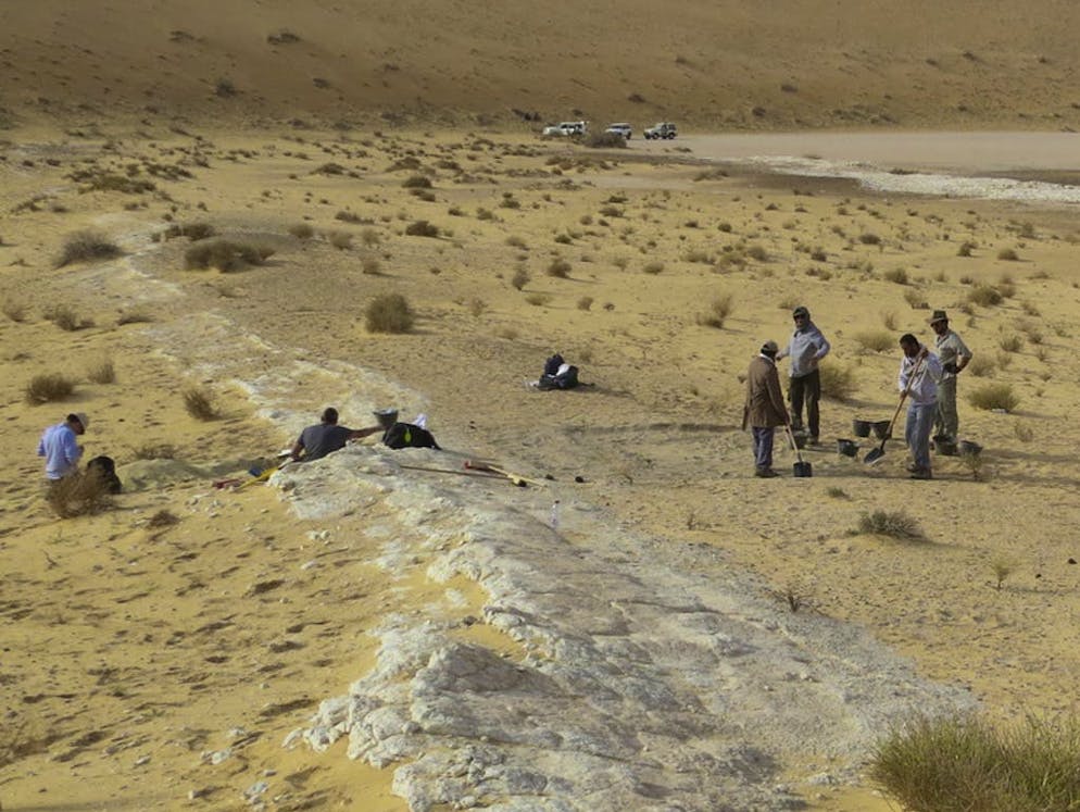 Ausgrabung in Al Wusta in Saudi-Arabien: Hier fanden Forscher den 88'000 Jahre alten Fingerknochen.
