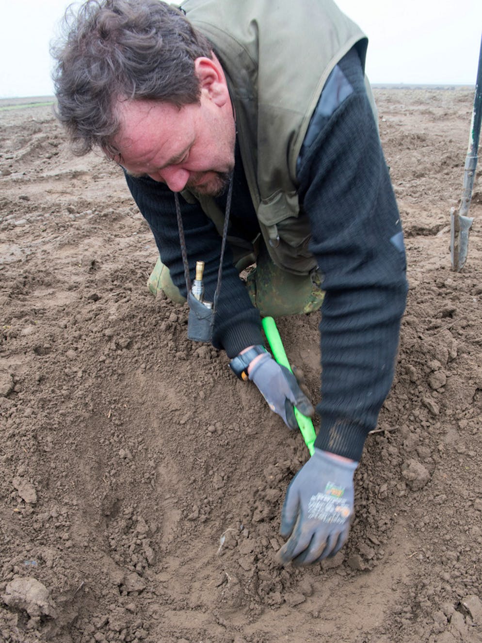 Auf der Flucht vergraben? Einmaliger Schatz auf Rügen entdeckt. In dem Schaprode-Konvolut finden sich auch Münzen aus dem englischen und orientalischen Raum – Ausdruck der damals bereits üblichen Handelstätigkeit im Ostseeraum.