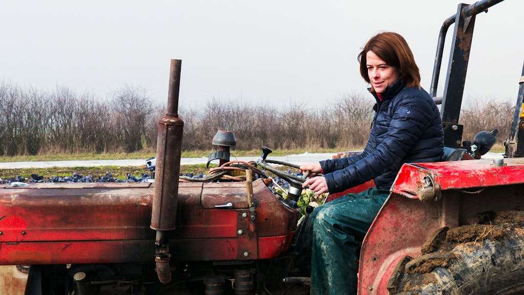 Bötschi fragt. FDP-Präsidentin Petra Gössi: «Ich muss nicht allen gefallen»