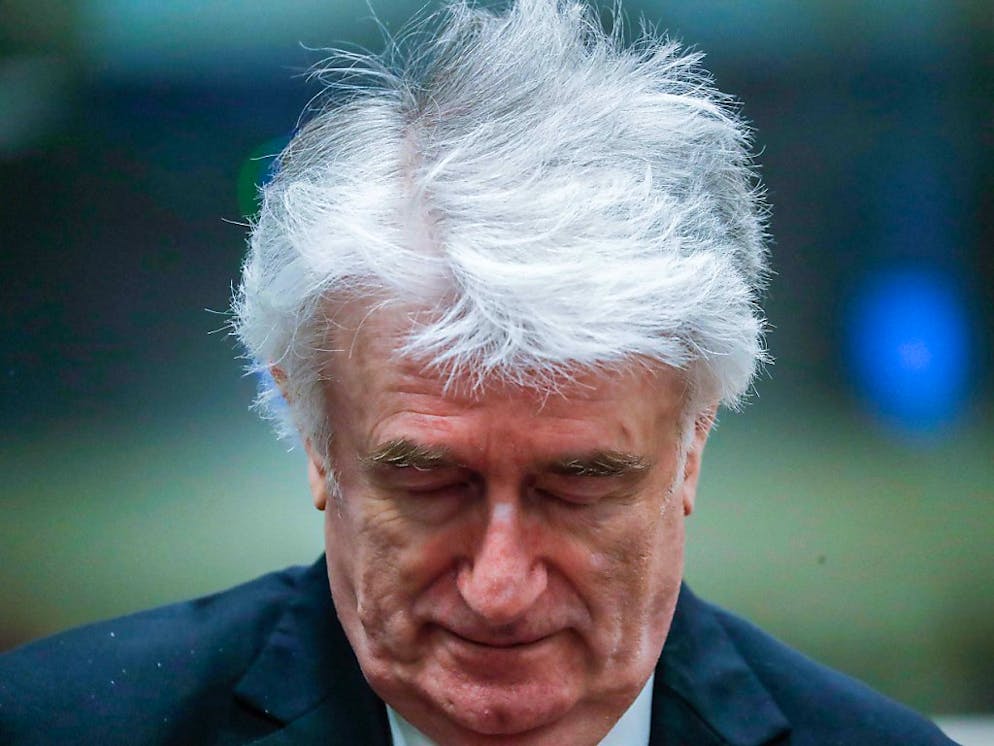 Die Anklage fordert lebenslang Gefängnis, die Verteidigung Freispruch: Der Berufungsprozess in Den Haag gegen Karadzic hat begonnen.