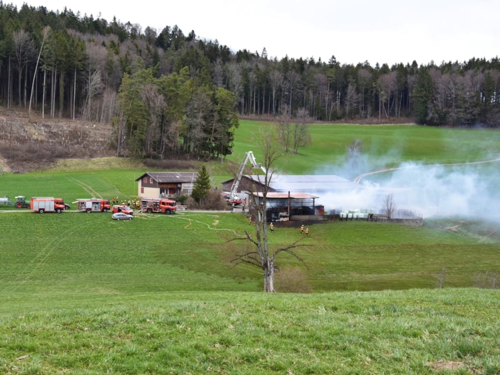 Schaden in der Höhe von mehreren zehntausend Franken ist beim Brand eines Schuppens in Dietschwil SG entstanden.