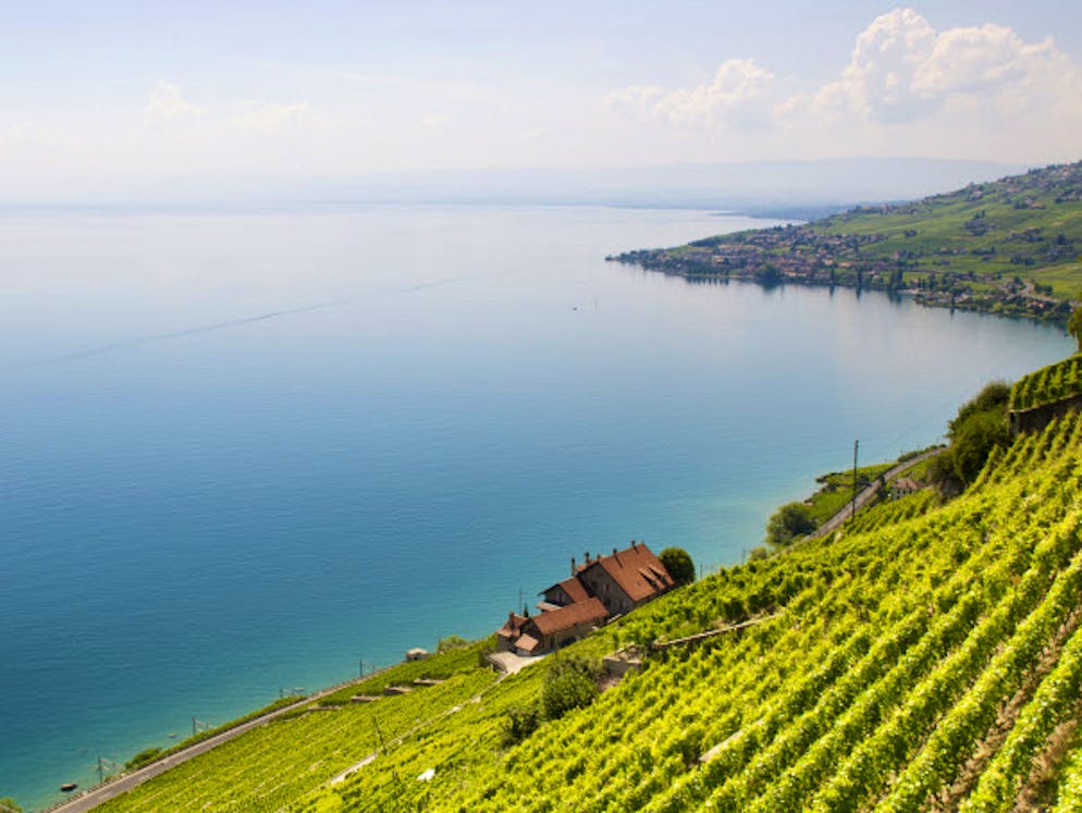... bis schliesslich zu den weltbekannten Weinterassen des Lavaux am Genfersee.