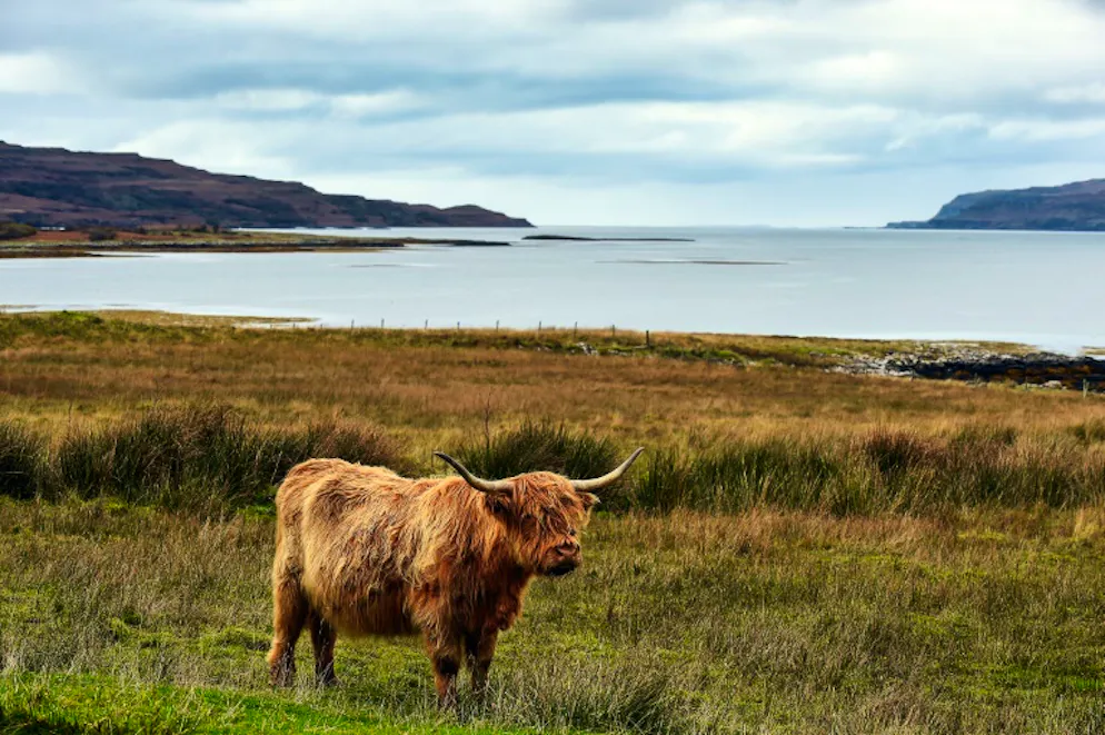 Cinq habitants rachètent leur petite île en Ecosse. L'île écossaise d'Ulva, le 20 octobre 2017