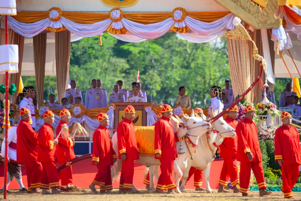 Thaïlande: les bœufs royaux prédisent de meilleures relations à l'international. Cérémonie annuelle à Bangkok avec des boeufs royaux qui prédisent l'année qui commence, le 14 mai 2018