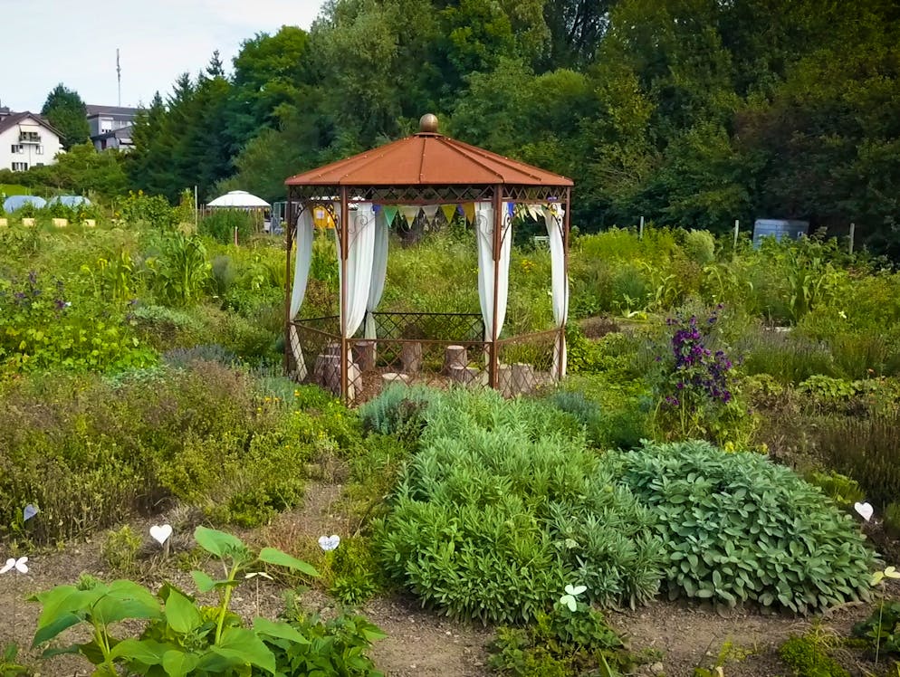 In ihrem Garten trifft man sich auf eine Pizza