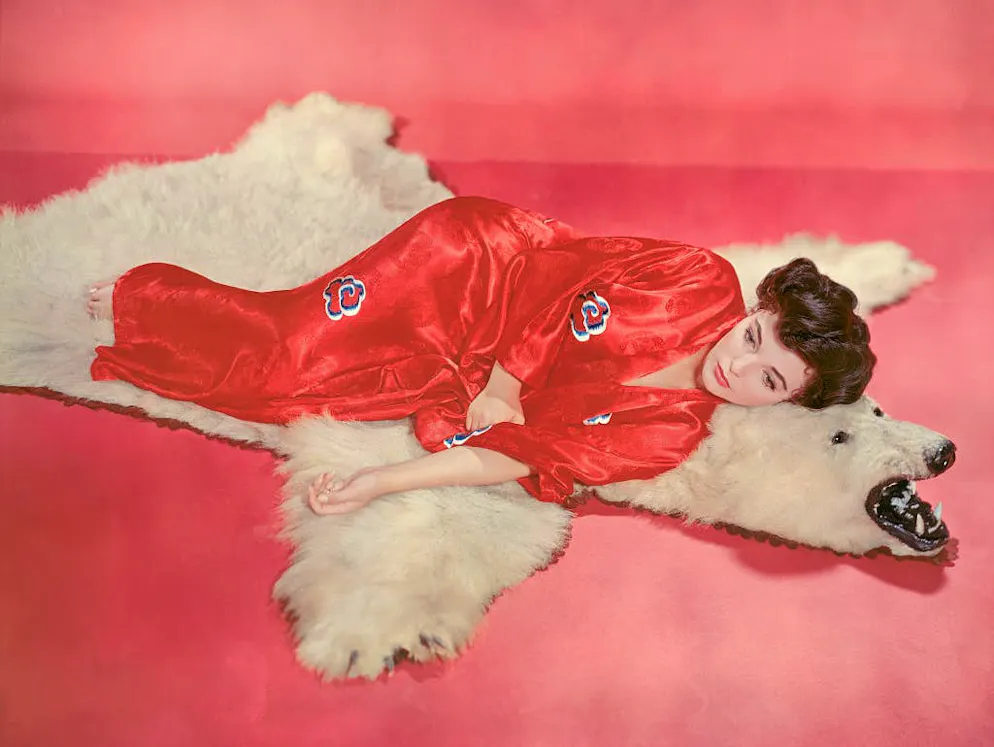 Joan Collins fête ses 85 ans. Rien qu'au cours de ses trente premières années de carrière, Joan Collins a tourné plus de 50 films et séries télévisées, notamment aux côtés de légendes du cinéma comme Richard Burton, Harry Belafonte, Gregory Peck et Paul Newman.