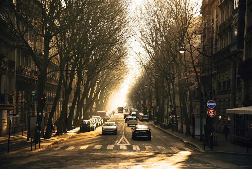 A beautiful avenue in Paris, France, in the morning and surrounded of trees