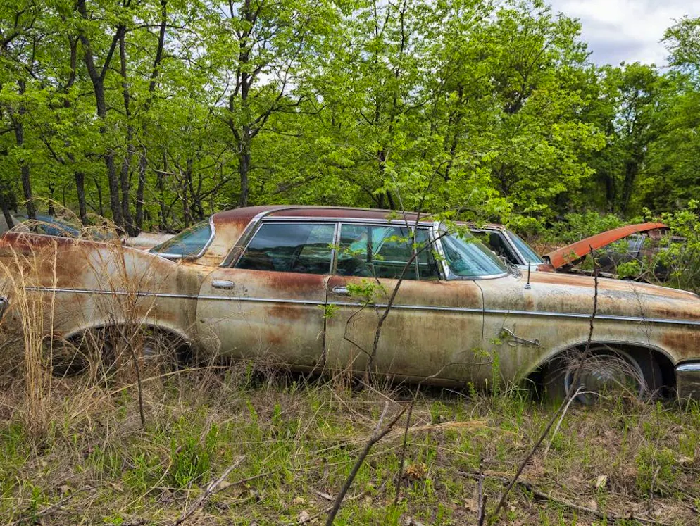 Un cimitero di auto da collezione. I finestrini di questa gigantesca berlina sono rimasti intatti.