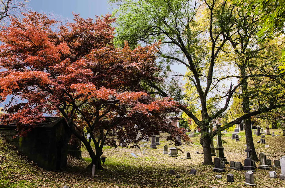 Printemps des cimetières : 6 sites à visiter dans le monde. Fall in Greenwood Cemetery in Brooklyn, New York with Colorful Foliage