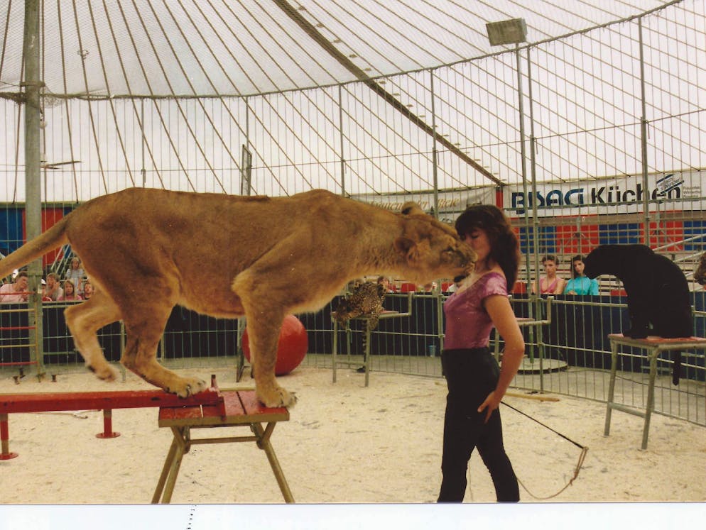 Ein Leben für die Raubtiere: Ex-Dompteuse Elvira Wegmann. Elivra Wegmann mit ihrer Löwin Sissy beim «Todeskuss».