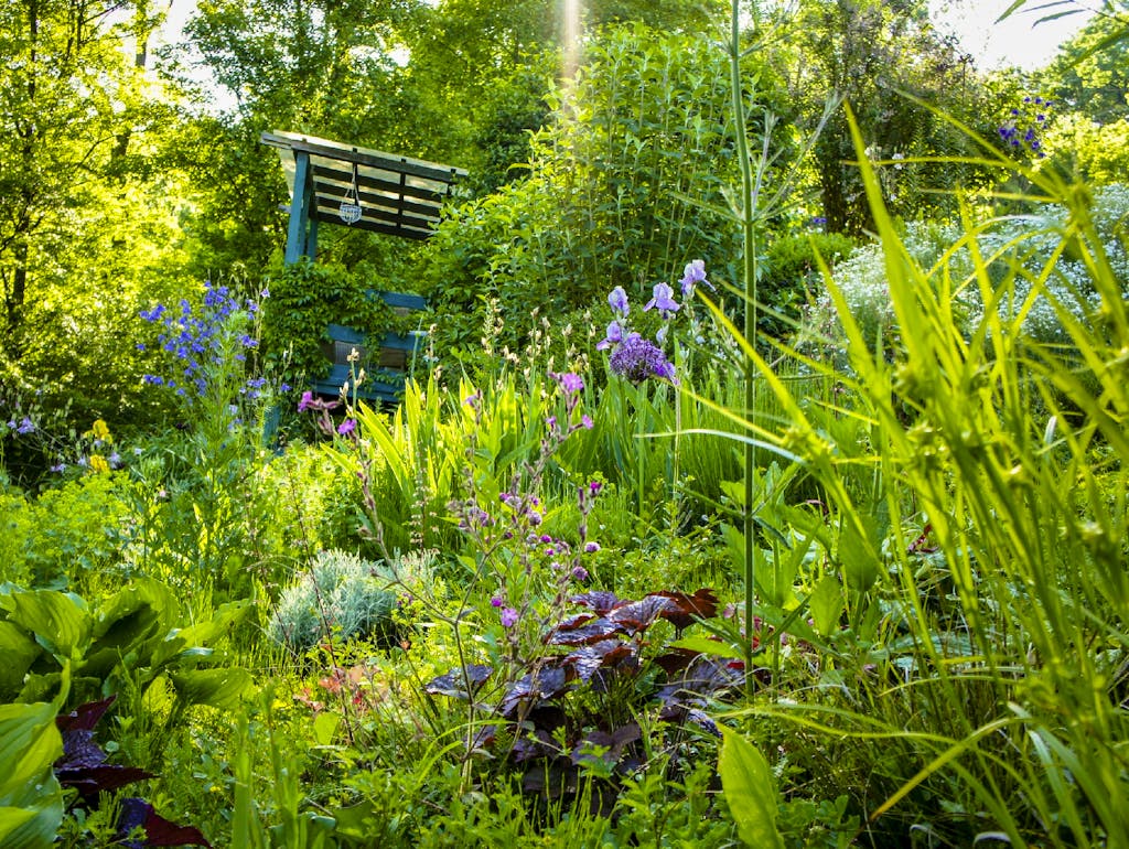 Dieser Garten lockt Tiere und Insekten an