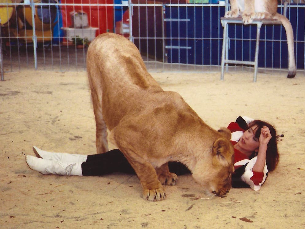 Ein Leben für die Raubtiere: Ex-Dompteuse Elvira Wegmann. Einen «Chräbel» hat die ehemalige Dompteuse von ihren Raubkatzen beim Trainieren oder «Shöppelen» schon ab und zu abgekriegt. Schwere Verletzungen hat sie aber nie davon getragen.