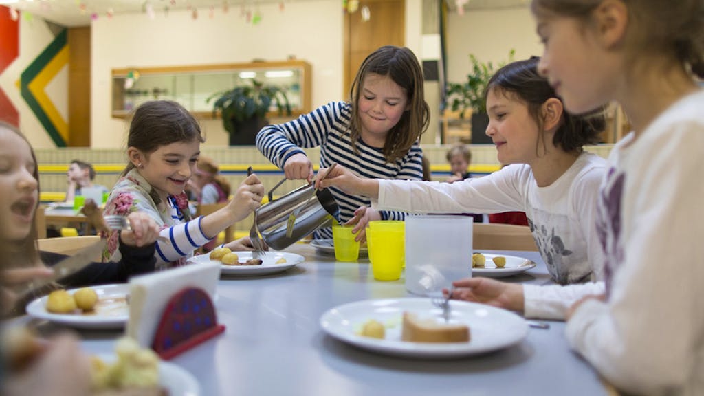 Die Kolumne. Darum hassen viele Kinder Tagesschulen