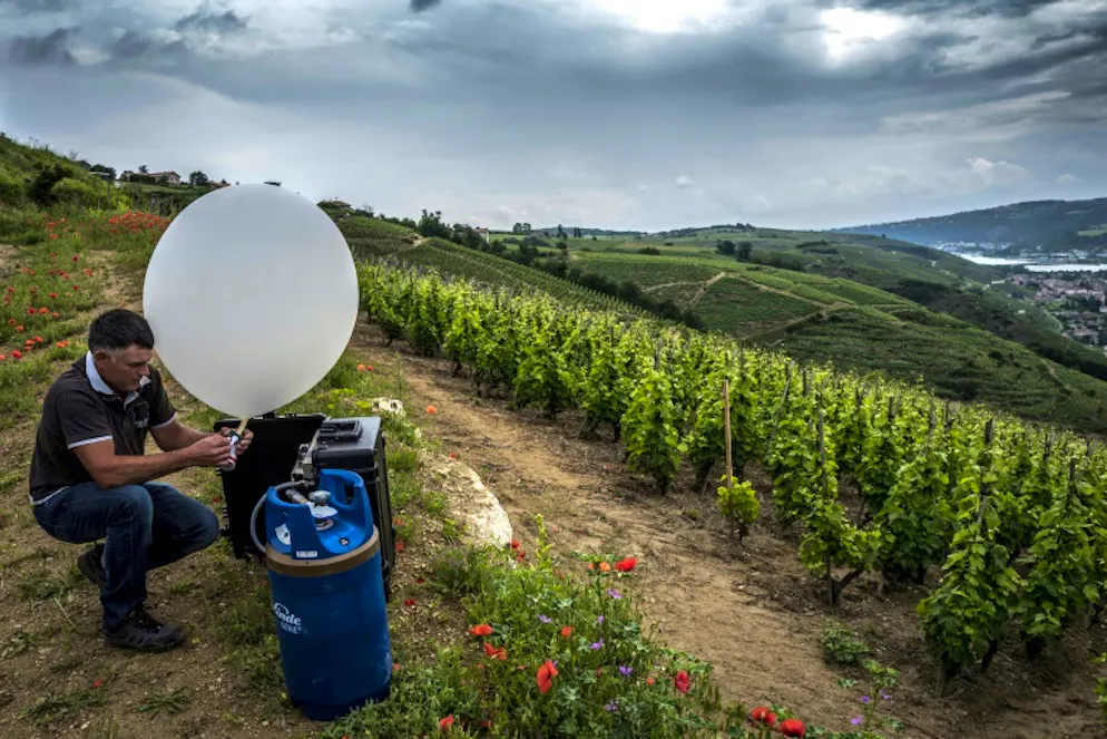 Des ballons chargés de sels contre la grêle, ennemie n°1 des vignes