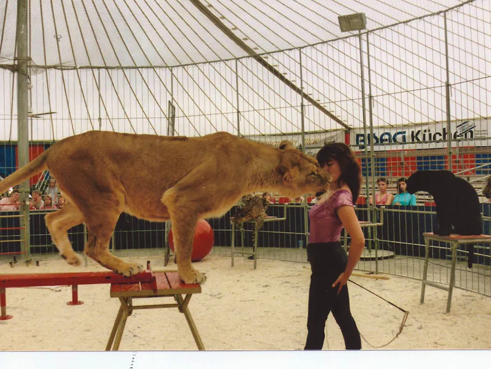 Elvira Wegmann, ancienne dompteuse. Elvira Wegmann, avec sa lionne Sissy, pour la «baiser de la mort».