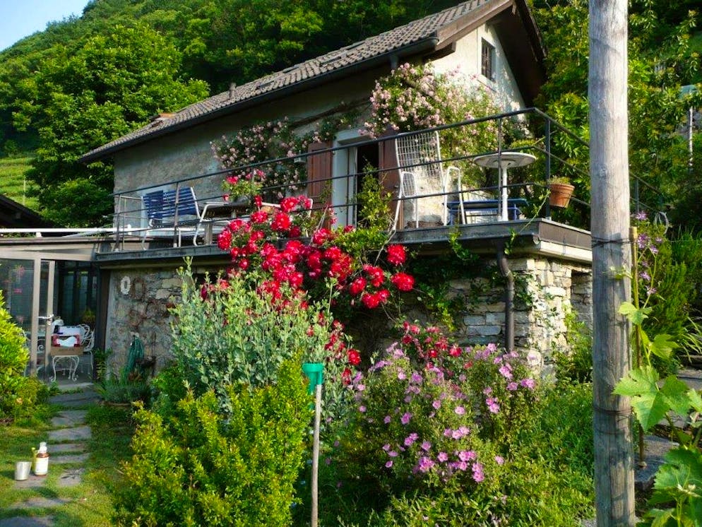 Dieser Garten lockt Tiere und Insekten an