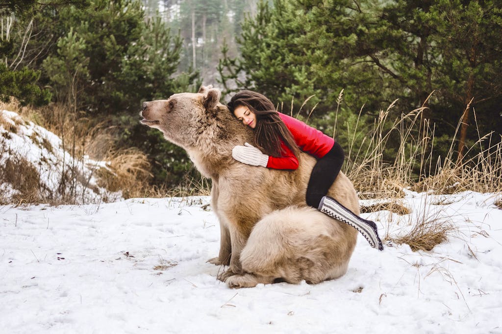 Get Freundschaft tiere For Android