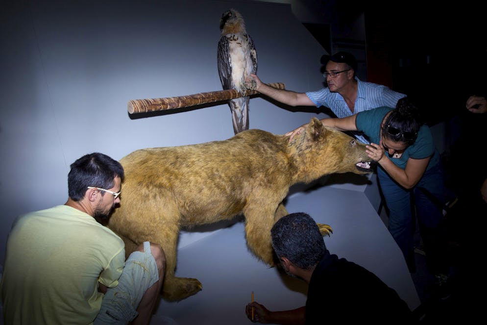 Neues Naturmuseum schockiert religiöse Kreise in Israel. Impressionen vom Bezug des Museums