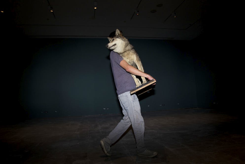 Neues Naturmuseum schockiert religiöse Kreise in Israel. Impressionen vom Bezug des Museums