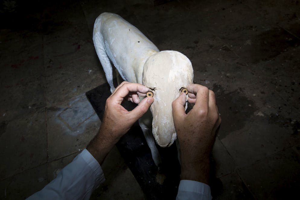 Neues Naturmuseum schockiert religiöse Kreise in Israel. Impressionen vom Bezug des Museums