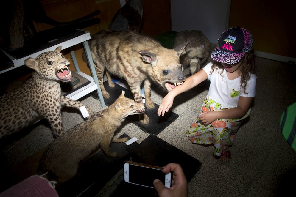 Neues Naturmuseum schockiert religiöse Kreise in Israel. Impressionen vom Bezug des Museums