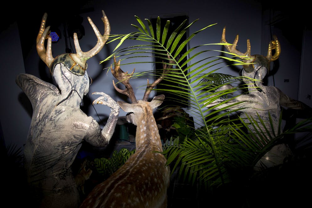 Neues Naturmuseum schockiert religiöse Kreise in Israel. Impressionen vom Bezug des Museums