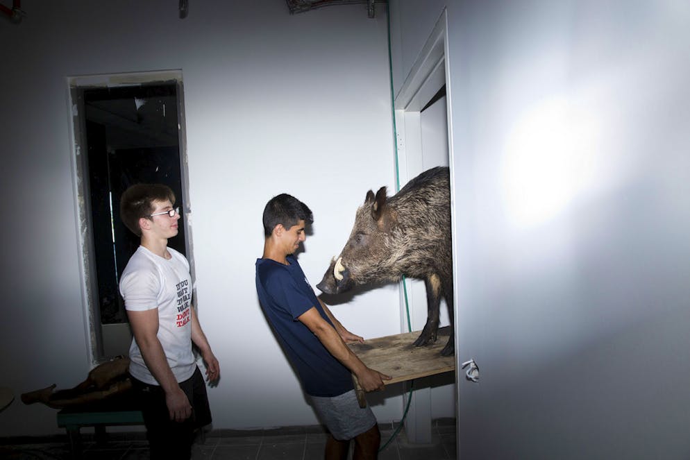 Neues Naturmuseum schockiert religiöse Kreise in Israel. Impressionen vom Bezug des Museums