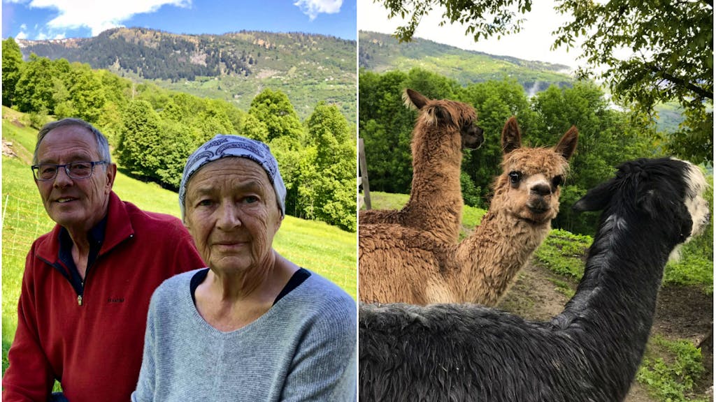 Im Exil. Zwei Aussteiger im Tessin: Diese Zürcher leben mit Alpakas
