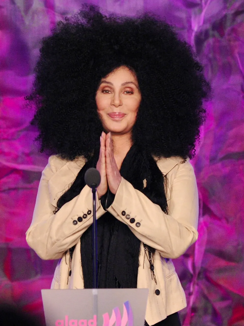 Die schönsten Bilder von Cher. 2012: Cher an einer Medien-Preisverleihung in Los Angeles.