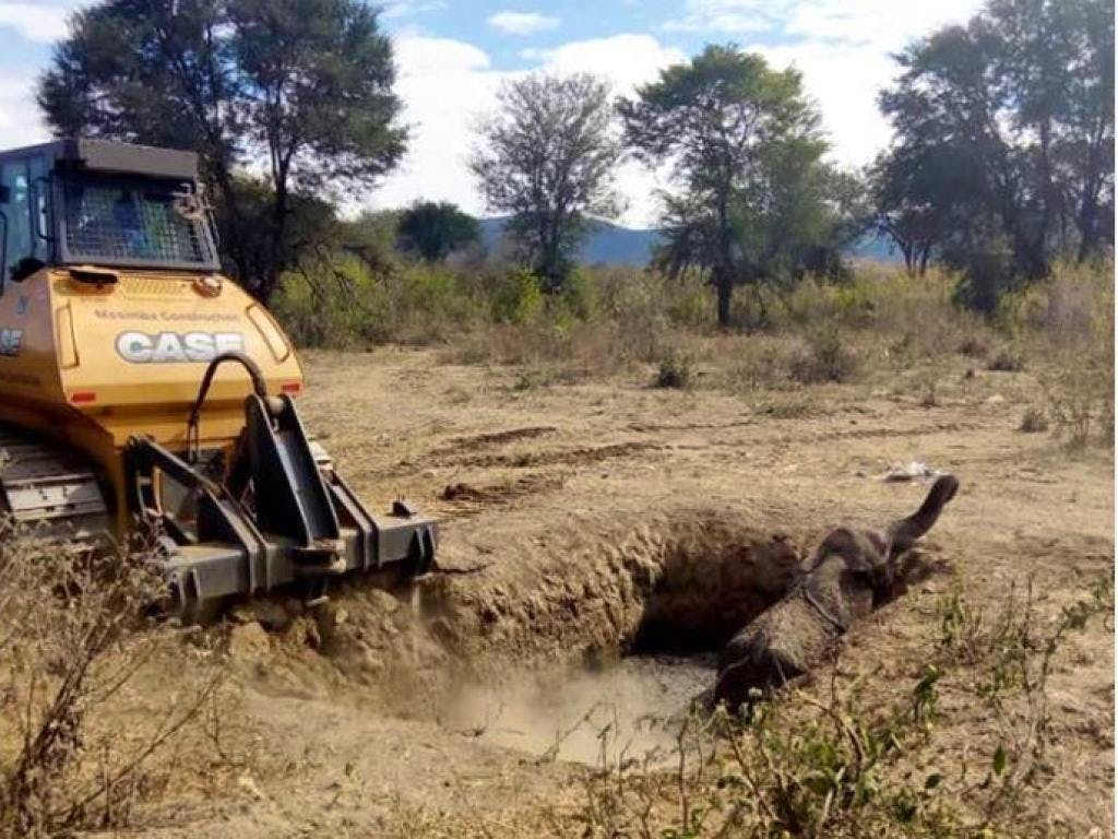 Planierraupe Hilft Elefant Aus Schlammgrube