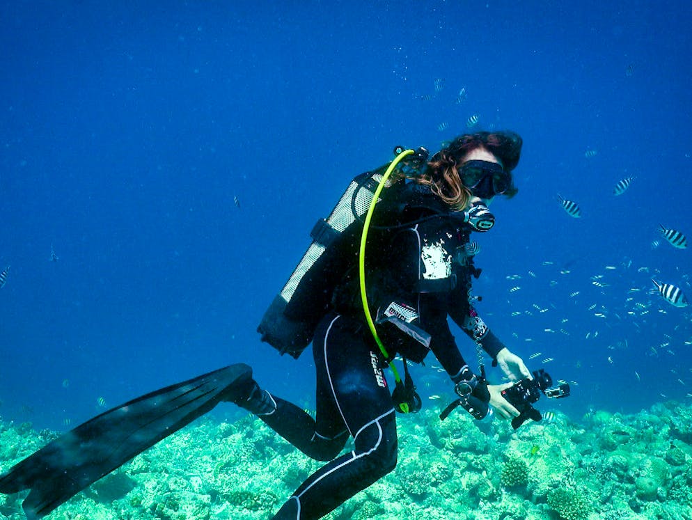 «Wasserwelten»: Ornella Weideli erforscht Haie. Ob über oder unter Wasser.