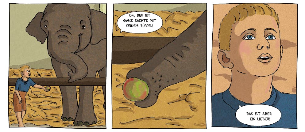 «Der Blechbauchmeier»: Der neue Comic von Serpentina Hagner. Aus «Der Blechbauchmeier» von Serpentina Hagner.