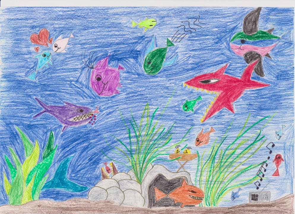 «Wasserwelten»: Ornella Weideli erforscht Haie. Ornella Weideli zeichnete als Kind oft Tiere. Fische, Wale und Delphine hatten es ihr schon damals angetan.