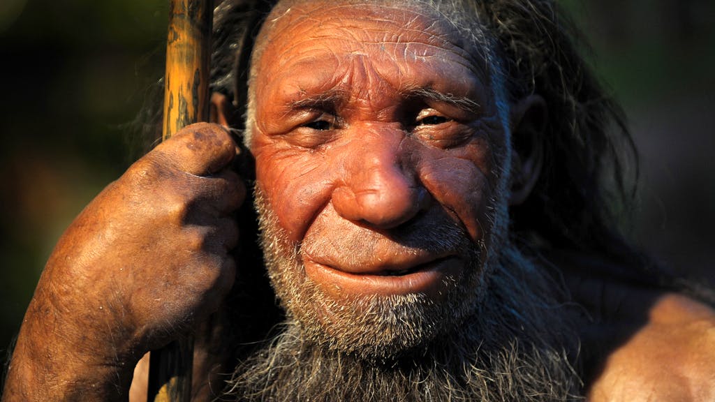 Ökologischer Stress. Starben die Neandertaler aus, weil es zu kalt wurde?