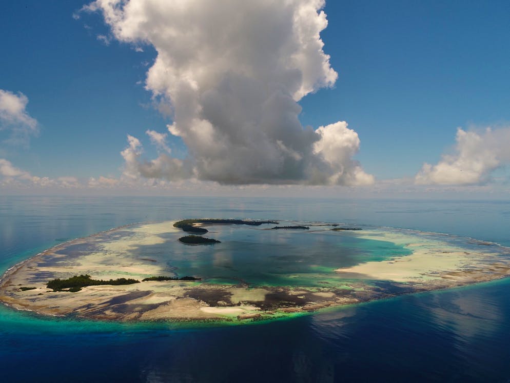 «Wasserwelten»: Ornella Weideli erforscht Haie. Ein traumhaft schöner Arbeitsplatz: das St. Joseph Atoll, Seychellen.