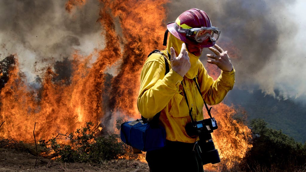 Filmfestival. Naturfilme: Diese Dokumentationen sind dem Klimawandel auf der Spur