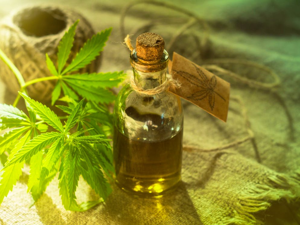 Multitalent statt Droge: Diese Hanfprodukte sollten Sie ausprobieren. Wer Hanf hört, der denkt meist nur an die berauschende Wirkung der Hanfpflanze. Doch wussten Sie, dass nicht jede Hanfpflanze auch berauschend wirkt? Und dass Hanf noch viel mehr sein kann als eine Droge? Wir verraten Ihnen, wo Hanf noch eingesetzt wird und wo Sie die Pflanze mal ausprobieren können – ganz ohne High.