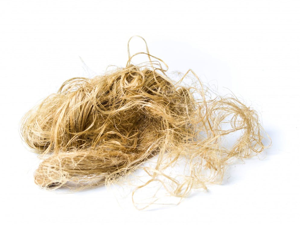 Multitalent statt Droge: Diese Hanfprodukte sollten Sie ausprobieren. Spätestens jetzt mag der ein oder andere ins Staunen kommen: Denn Hanf ist ein wahres Multitalent. Aus der Nutzhanfpflanze können auch Fasern gewonnen werden. Die sind ausgesprochen stabil und werden beispielsweise bei Kleidung, Dämmmaterial oder Dichtungen verwendet.