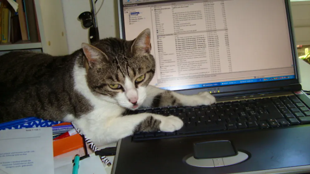 Mon animal est tellement paresseux