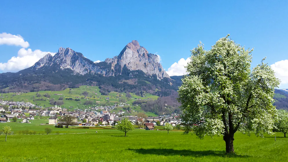 La Svizzera tipica