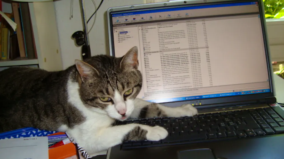 Il mio animale domestico è pigro