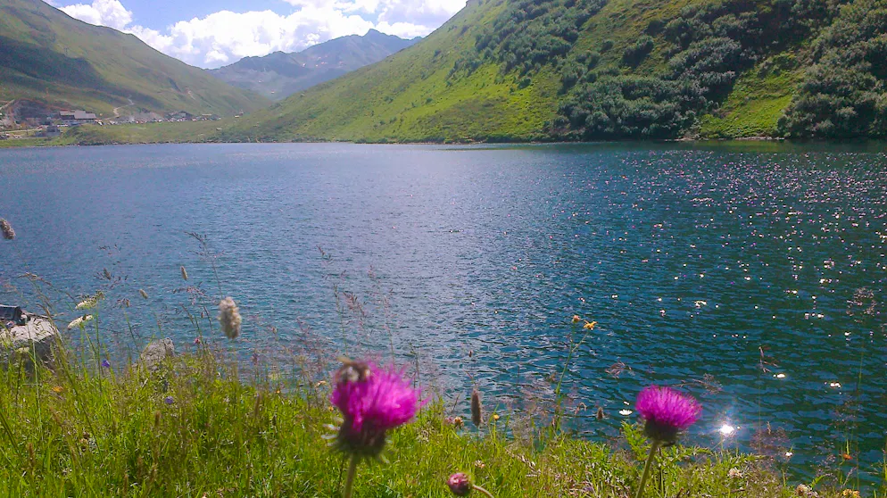 La Svizzera tipica