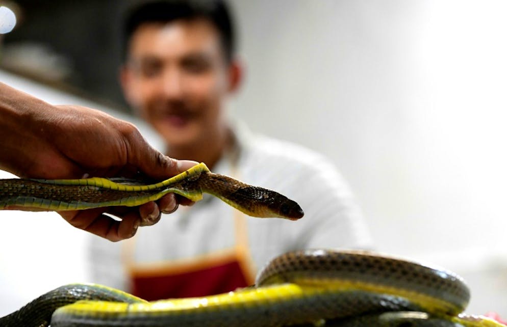 Le chef Dinh Tien Dung cuisine un serpent dans un restaurant de Yen Bai, au Vietnam, le 24 août 2018